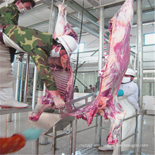 Halal Live Cattle Sheep Slaughter Equipment for Abattoir Butcher